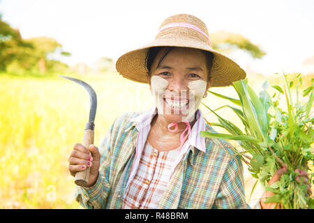 Matura tradizionale birmana agricoltore femmina Foto Stock