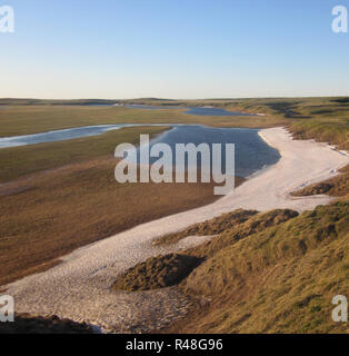La tundra serbatoi. Foto Stock