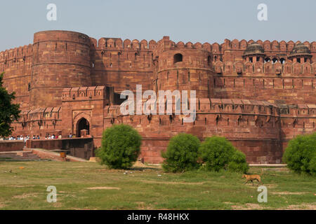 Agra Fort Foto Stock