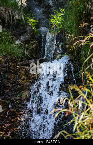 Fresco, acqua chiara sgorga giù cascate lungo un flusso Foto Stock