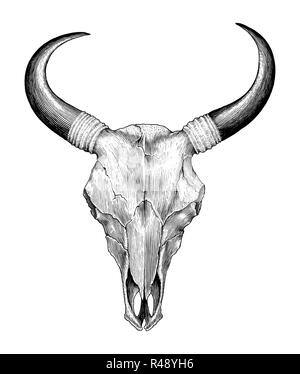 Cranio di mucca disegno a mano vintage illustrazione di incisione Illustrazione Vettoriale