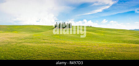 Vista panoramica di scenic Toscana paesaggio in Val d'Orcia, Italia Foto Stock