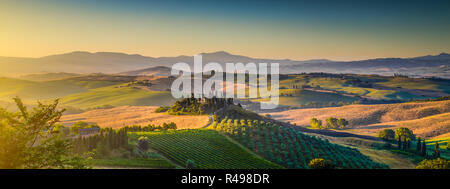 Scenic Toscana panorama del paesaggio di dolci colline e campi di raccolto in golden. La luce del mattino, Val d'Orcia, Italia Foto Stock