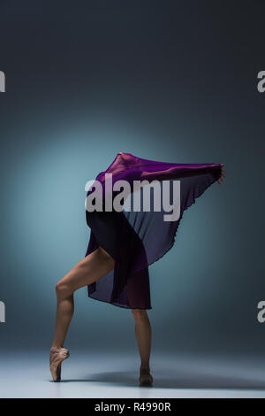 Giovane bella stile moderno ballerina in posa su uno sfondo per studio Foto Stock