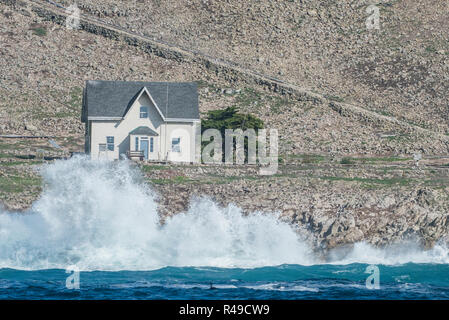 L'unico edificio sul Farallon isole sono queste piccole case bianche dove gli scienziati in visita a dormire. Foto Stock