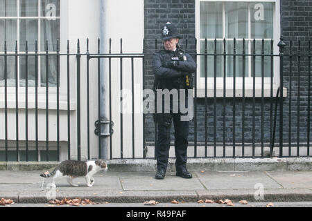 Londra, Regno Unito. 26 Nov, 2018. Larry il gatto e il Chief mouser al Cabinet Office a Downing Street London Credit: amer ghazzal/Alamy Live News Foto Stock