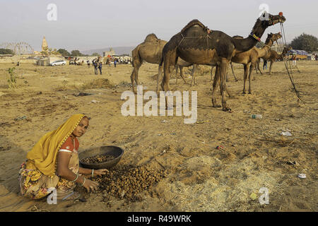 Ajmer, Rajasthan, India. 7 Luglio, 2018. Indian Gypsy visto durante la fiera del cammello.tenuto ogni novembre al momento dell'Kartik Purnima luna piena, Pushkar Camel Fair è uno degli indiani più altamente-rated esperienze di viaggio, uno spettacolo su scala epica, attirando migliaia di cammelli e visitato da migliaia di persone per un periodo di circa quattordici giorni. Credito: Enzo Tomasiello SOPA/images/ZUMA filo/Alamy Live News Foto Stock