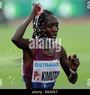 Ostrava, Repubblica Ceca. 17 Giugno, 2014. Gli atleti competere presso la IAAF World challenge Golden Spike incontro a Ostrava, Repubblica ceca, 17 giugno 2014./PSPA/Slavek Ruta Credito: Slavek Ruta/ZUMA filo/Alamy Live News Foto Stock