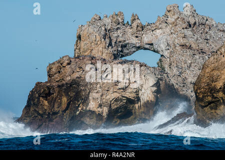 Onde si infrangono nella Farallon isole e una formata naturalmente rock arch lungo il litorale. Foto Stock