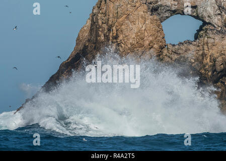 Onde si infrangono nella Farallon isole e una formata naturalmente rock arch lungo il litorale. Foto Stock