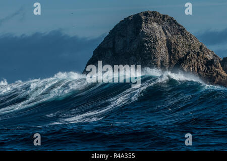 Le isole Farallon sporgente fuori dell'oceano pacifico come grandi onde in rotolo. Foto Stock