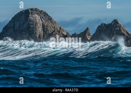 Le isole Farallon sporgente fuori dell'oceano pacifico come grandi onde in rotolo. Foto Stock