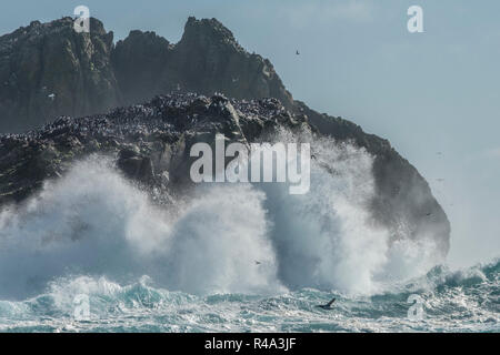 Le onde infrangersi contro la sponda del Farallon isole al largo della costa della California, le isole sono un importante sito di nidificazione per gli uccelli pelagici. Foto Stock