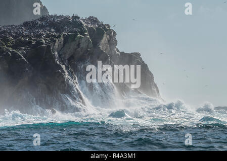 Le onde infrangersi contro la sponda del Farallon isole al largo della costa della California, le isole sono un importante sito di nidificazione per gli uccelli pelagici. Foto Stock