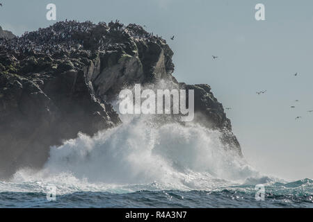 Le onde infrangersi contro la sponda del Farallon isole al largo della costa della California, le isole sono un importante sito di nidificazione per gli uccelli pelagici. Foto Stock