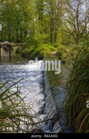 MORDEN, LONDRA, INGHILTERRA - 19 Aprile 2018: Fiume Wandle fluente attraverso il National Trust motivi di Morden Hall Park Foto Stock