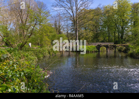 MORDEN, LONDRA, INGHILTERRA - 19 Aprile 2018: Fiume Wandle fluente attraverso il National Trust motivi di Morden Hall Park Foto Stock