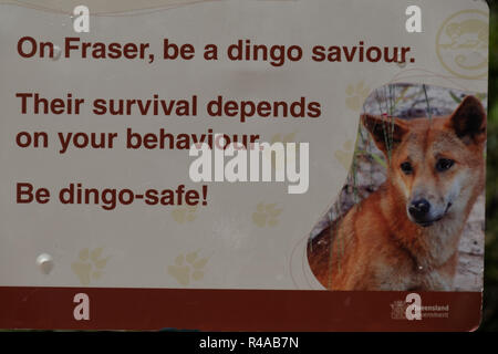 Cartelli di avvertimento relativa dingos (Canis lupus dingo) su Fraser Island, Queensland, Australia Foto Stock