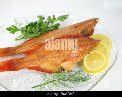 Fumato salwater pesce rosso sebastes norvegicus Foto Stock