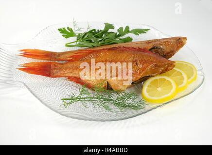 Fumato salwater pesce rosso sebastes norvegicus Foto Stock