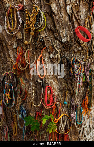 Bracciali a sinistra di albero in campi di sterminio dove i bambini sono stati uccisi durante Khymer Rouge genocidio. Choeung Ek, Phnom Penh Cambogia Foto Stock