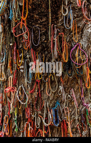 Bracciali a sinistra di albero in campi di sterminio dove i bambini sono stati uccisi durante Khymer Rouge genocidio. Choeung Ek, Phnom Penh Cambogia Foto Stock