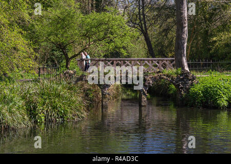 MORDEN, LONDRA, INGHILTERRA - 19 Aprile 2018: Fiume Wandle fluente attraverso il National Trust motivi di Morden Hall Park Foto Stock