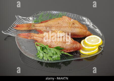 Fumato salwater pesce rosso sebastes norvegicus Foto Stock