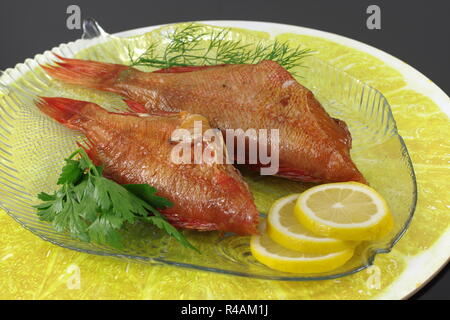 Fumato salwater pesce rosso sebastes norvegicus Foto Stock