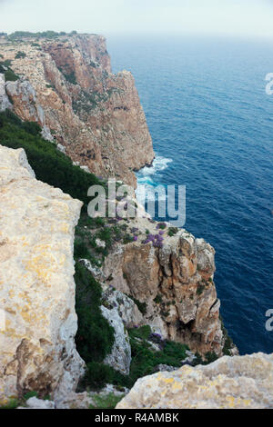 Vista panoramica delle scogliere di Formentera Isole Baleari Spagna. Foto Stock