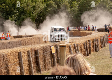 Goodwood Festival della Velocità di gara di rally, Chichester, Sussex Foto Stock