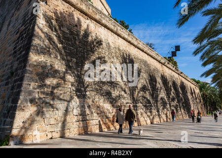 Ombre data di palme (Phoenix dactylifera) su una parete, Palma o Palma de Mallorca, Maiorca, isole Baleari, Spagna, Europa Foto Stock