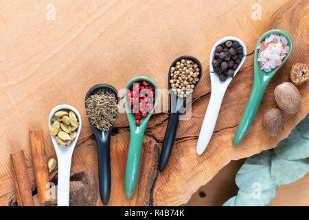 A base di erbe esotiche Food concept Mix di spezie organico la stecca di cannella e i semi di cardamomo, cumino, pepe nero, rosa peppe, nutgeg e semi di coriandolo i Foto Stock
