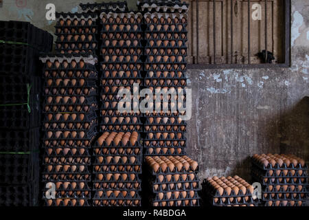 Le uova per la vendita in un negozio di uovo in Hat Yai, Thailandia. Foto Stock