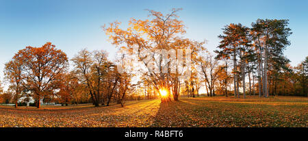 Bellissimo parco giardino in atumn. Panorama di caduta nel parco presso sunrise in Slovacchia Foto Stock