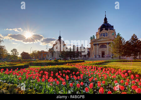 Szechenyi Spa con fiore - Budapest, Ungheria Foto Stock