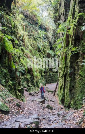 Lud la Chiesa è un profondo abisso situato nell'area di scarafaggi del Nord Staffordshire peak district .England Regno Unito Foto Stock