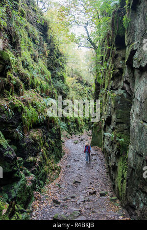 Lud la Chiesa è un profondo abisso situato nell'area di scarafaggi del Nord Staffordshire peak district .England Regno Unito Foto Stock