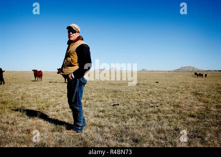 Rancher Bret Clanton non attende con ansia un giorno in cui il gasdotto taglia 3 miglia del suo ranch di bestiame. Minacciato da un dominio eminente, lui e i suoi vicini firmarono un accordo con TransCanada nel 2007-2008 per un costante alleggerimento. A Billings Gazette dice che 'dovrebbero costruirlo o ottenere il... fuori di qui' Foto Stock