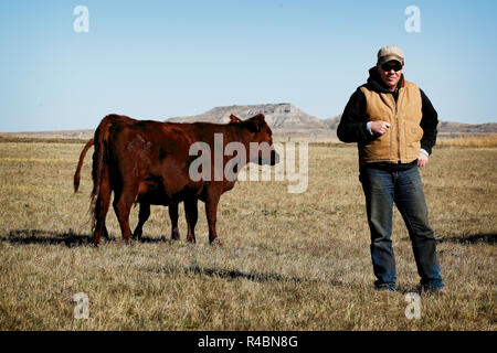 Rancher Bret Clanton non attende con ansia un giorno in cui il gasdotto taglia 3 miglia del suo ranch di bestiame. Minacciato da un dominio eminente, lui e i suoi vicini firmarono un accordo con TransCanada nel 2007-2008 per un costante alleggerimento. A Billings Gazette dice che 'dovrebbero costruirlo o ottenere il... fuori di qui' Foto Stock