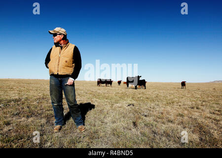 Rancher Bret Clanton non attende con ansia un giorno in cui il gasdotto taglia 3 miglia del suo ranch di bestiame. Minacciato da un dominio eminente, lui e i suoi vicini firmarono un accordo con TransCanada nel 2007-2008 per un costante alleggerimento. A Billings Gazette dice che 'dovrebbero costruirlo o ottenere il... fuori di qui' Foto Stock