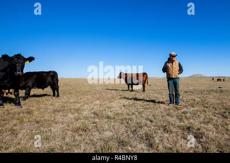 Rancher Bret Clanton non attende con ansia un giorno in cui il gasdotto taglia 3 miglia del suo ranch di bestiame. Minacciato da un dominio eminente, lui e i suoi vicini firmarono un accordo con TransCanada nel 2007-2008 per un costante alleggerimento. A Billings Gazette dice che 'dovrebbero costruirlo o ottenere il... fuori di qui' Foto Stock