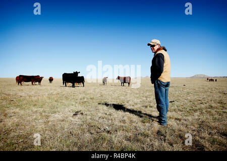 Rancher Bret Clanton non attende con ansia un giorno in cui il gasdotto taglia 3 miglia del suo ranch di bestiame. Minacciato da un dominio eminente, lui e i suoi vicini firmarono un accordo con TransCanada nel 2007-2008 per un costante alleggerimento. A Billings Gazette dice che 'dovrebbero costruirlo o ottenere il... fuori di qui' Foto Stock