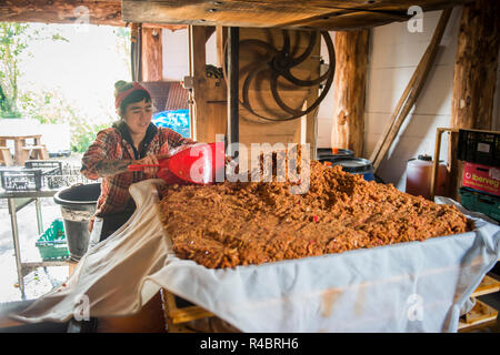 Artigianato facendo Sidro, tradizionale in legno stampa Apple, la costruzione di un formaggio, con la cremagliera e il panno, orzo legno xviii Ott 2018 Foto Stock