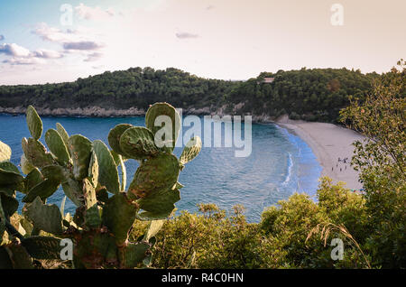 Tramonto sulla spiaggia di Fetovaia, Isola d'Elba, Toscana, Italia Foto Stock