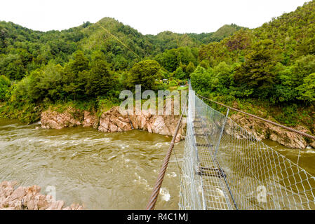 Buller Gorge Swing ponte sul fiume Buller, nella costa occidentale dell'Isola del Sud, Nuova Zelanda Foto Stock