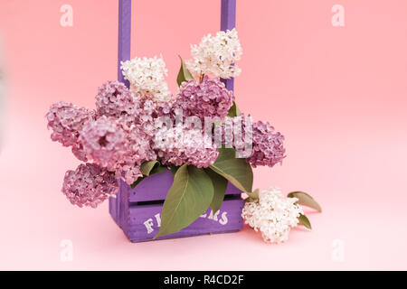 Fiori lilla mazzetto in una viola cesto in legno su sfondo rosa. Bella viola fiore lilla ancora vita Pasqua design di confine sul tavolo di legno. Foto Stock