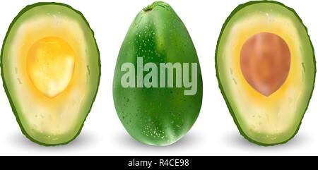 Set di realistico verde avocado. Illustrazione Vettoriale. Esotiche sempreverdi piante da frutto. Isolamento su sfondo bianco Illustrazione Vettoriale