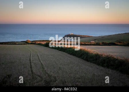 Visualizzare attraverso i campi a Prawle Point, Devon, tarda serata estiva Foto Stock