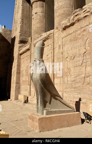 Statua di horus a Edfu in Egitto Foto Stock